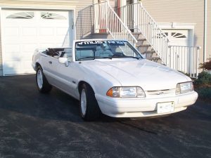 Thom's White Feature Mustang